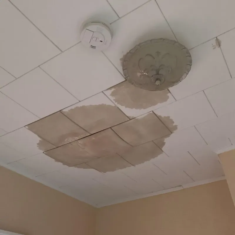 Ceiling Water Damage Repair in Cohasset, MN