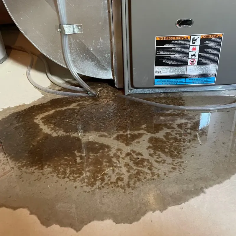 Pipe Burst and Leak Restoration in Cohasset, MN